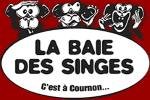 logo lbia des singes
