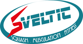 logo sveltic new