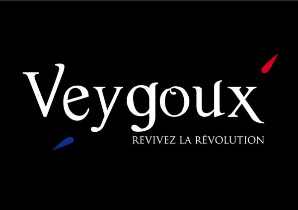 logo veygoux
